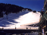 Bottom Of The Piste